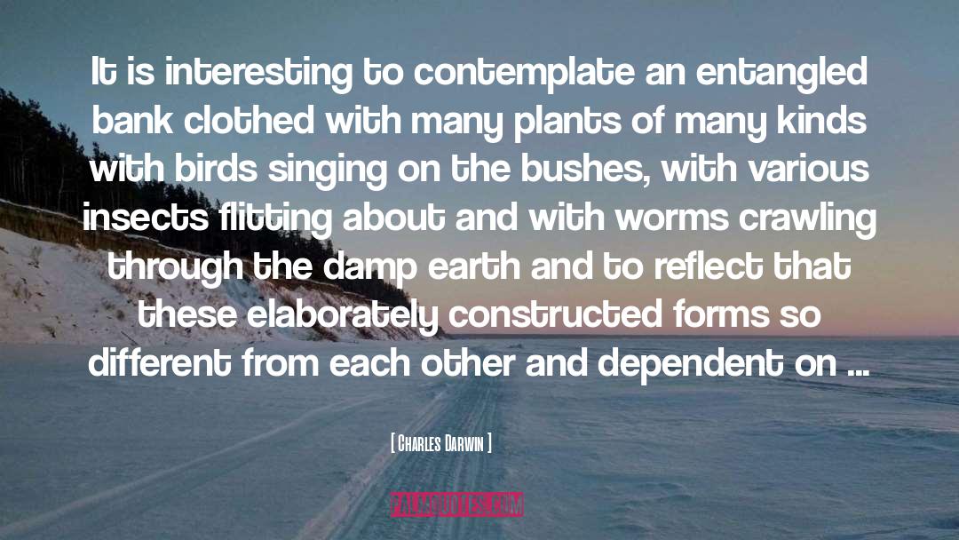 Bushes quotes by Charles Darwin