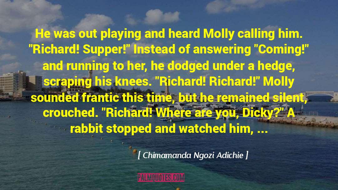 Bushes quotes by Chimamanda Ngozi Adichie