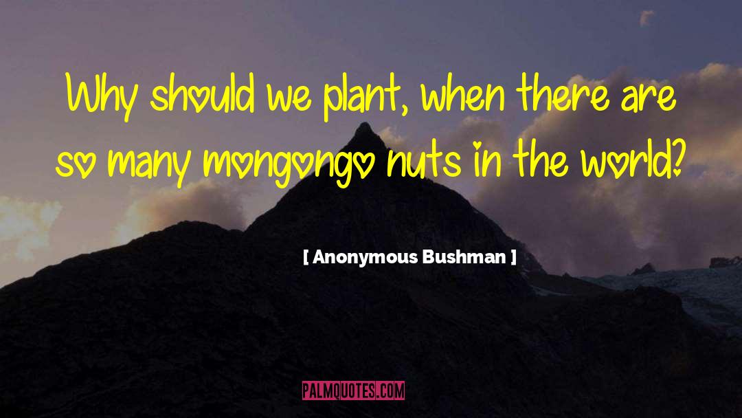 Bushman quotes by Anonymous Bushman
