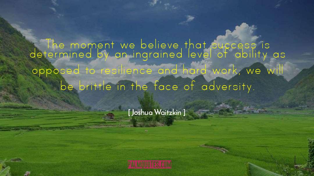 Busines Success quotes by Joshua Waitzkin