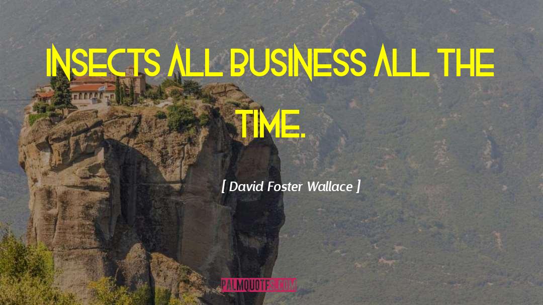 Business Allowed quotes by David Foster Wallace