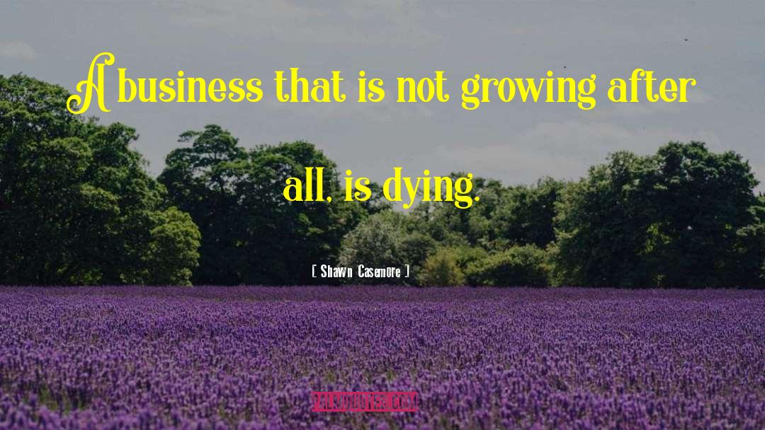 Business Coaching quotes by Shawn Casemore