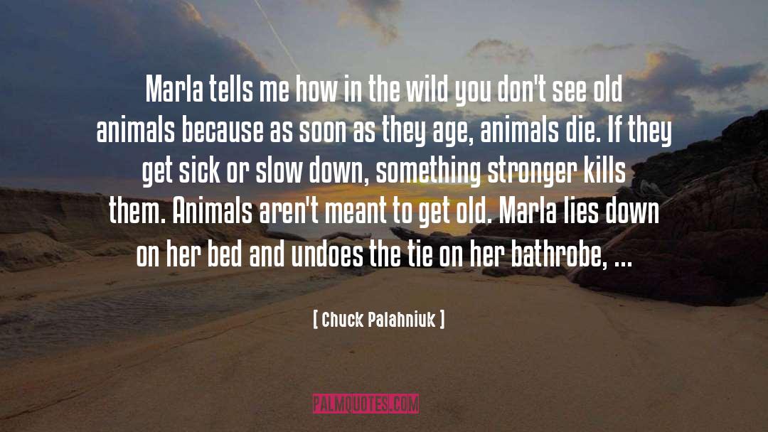 Business Culture quotes by Chuck Palahniuk