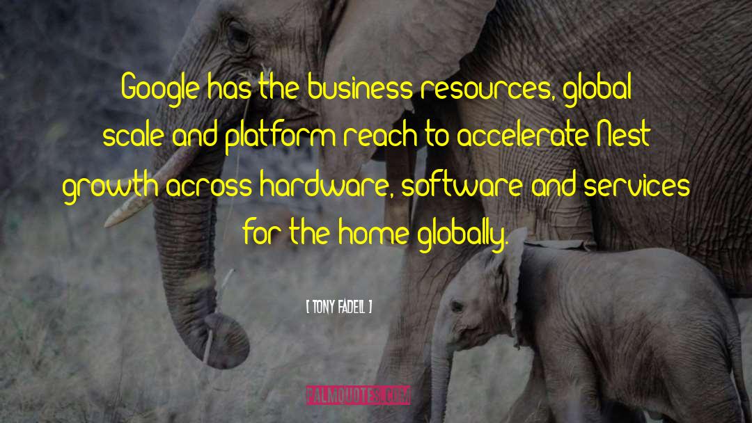 Business Growth quotes by Tony Fadell