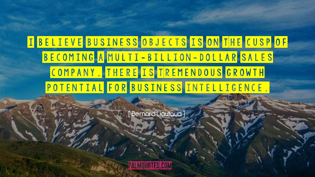 Business Growth quotes by Bernard Liautaud