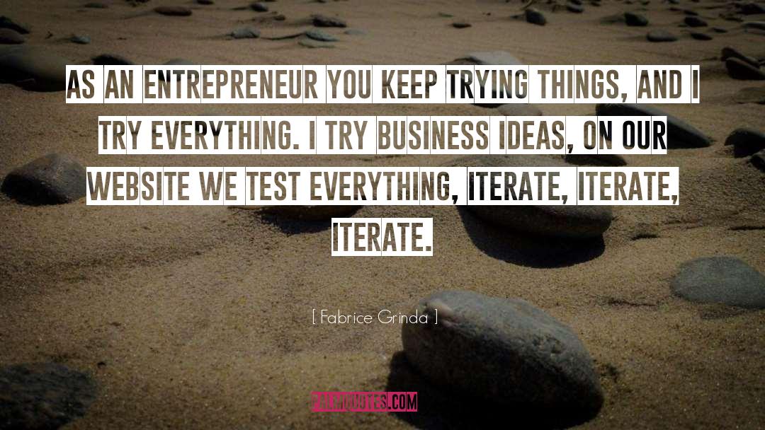 Business Ideas quotes by Fabrice Grinda