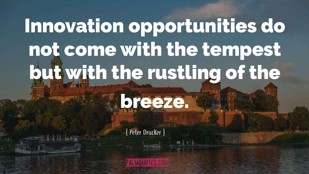 Business Innovation quotes by Peter Drucker