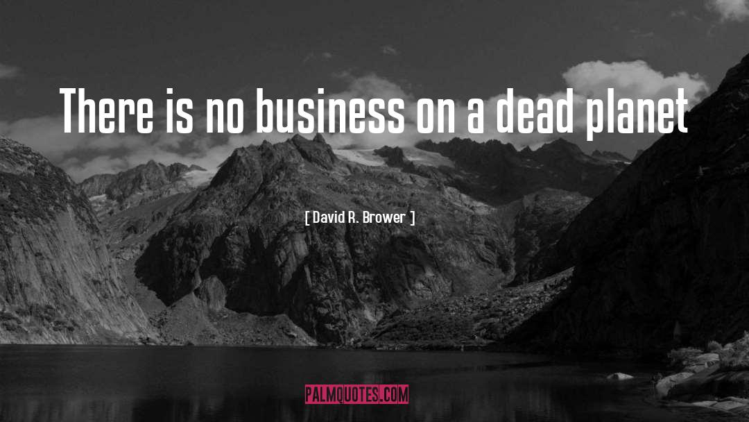 Business Management quotes by David R. Brower