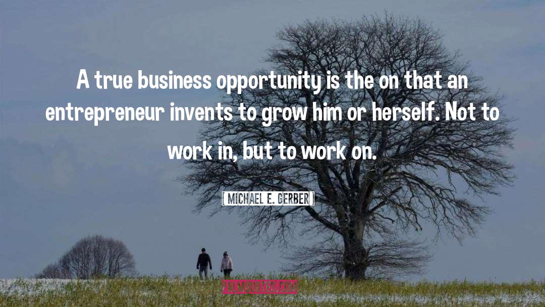 Business Opportunity quotes by Michael E. Gerber