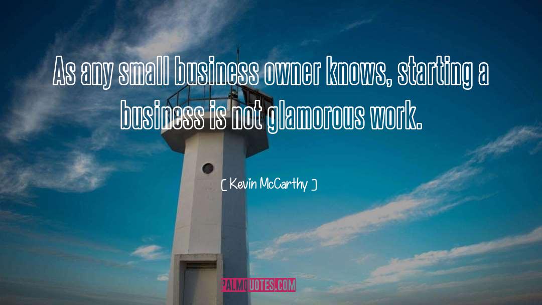 Business Owner quotes by Kevin McCarthy