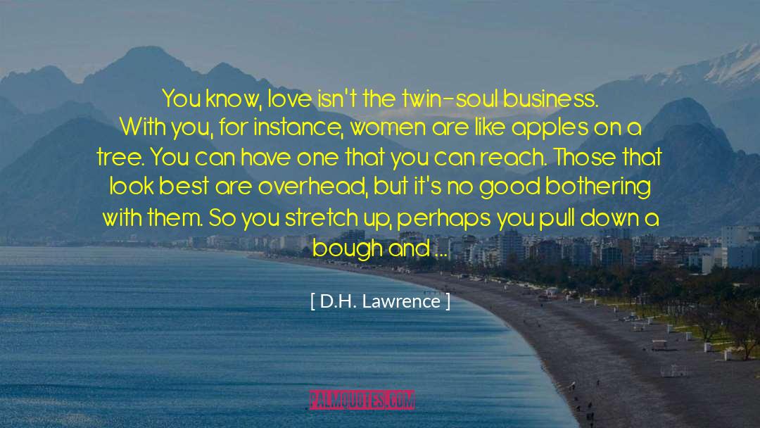Business Plan quotes by D.H. Lawrence