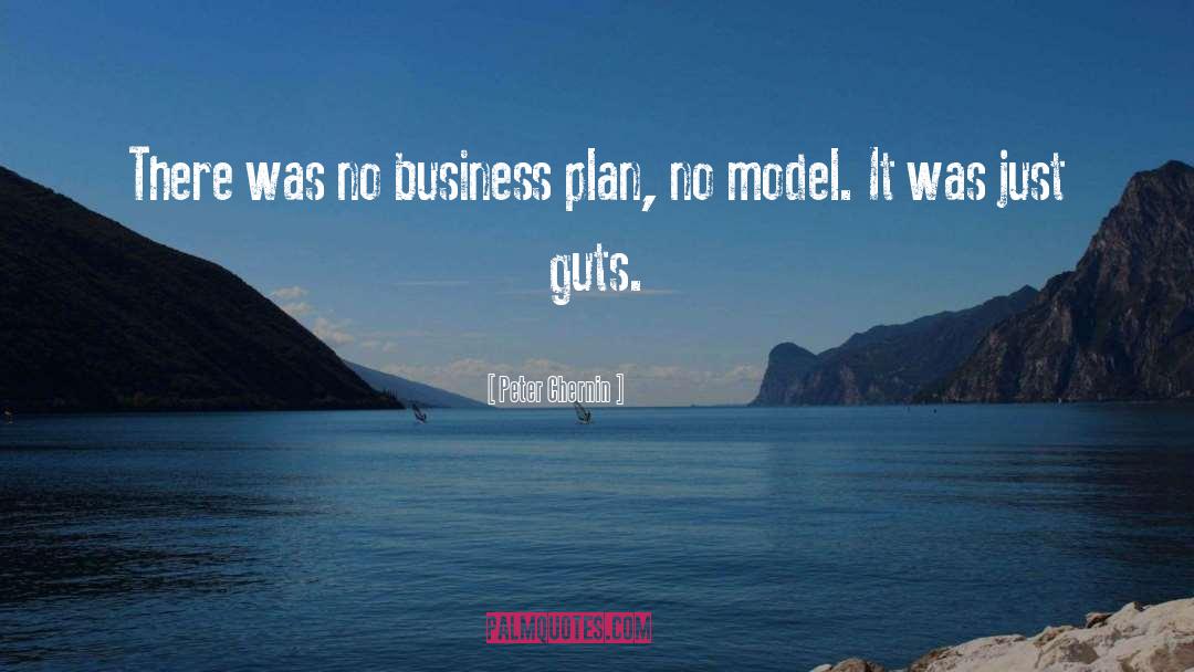 Business Plan quotes by Peter Chernin