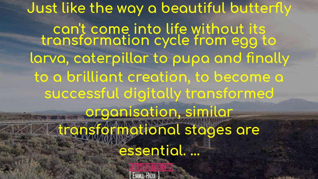 Business Transformation quotes by Enamul Haque