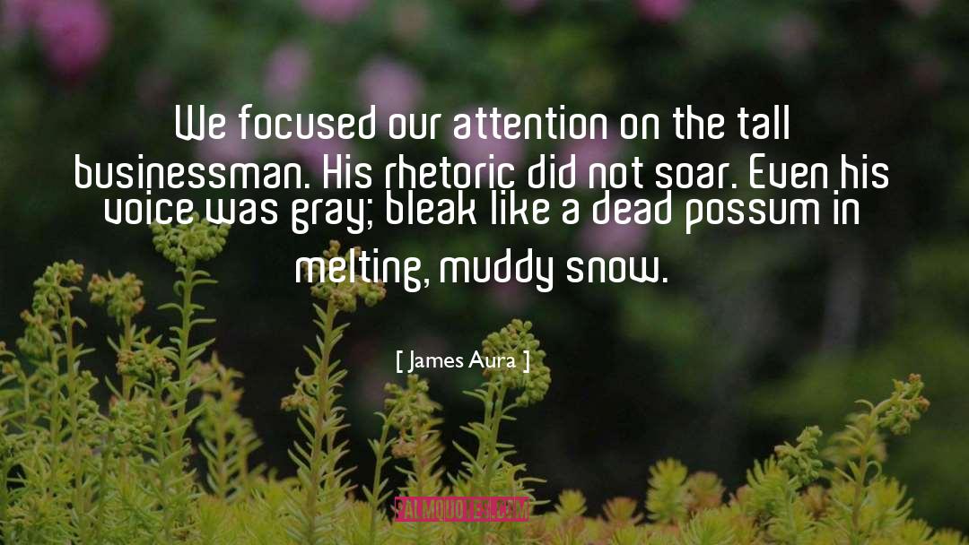 Businessman quotes by James Aura