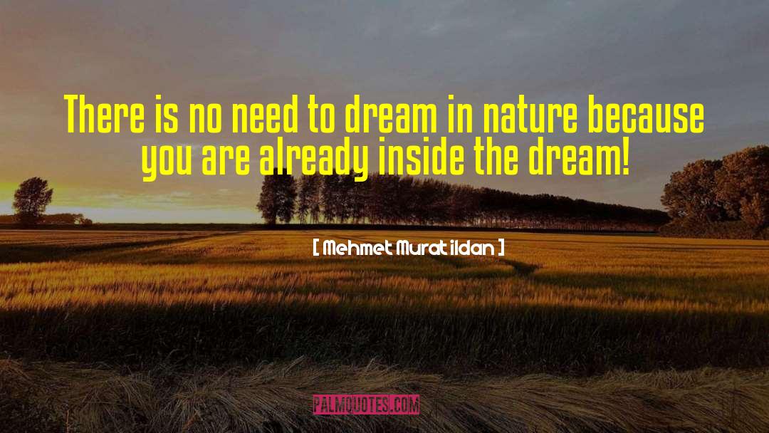 Bussinger Dream quotes by Mehmet Murat Ildan