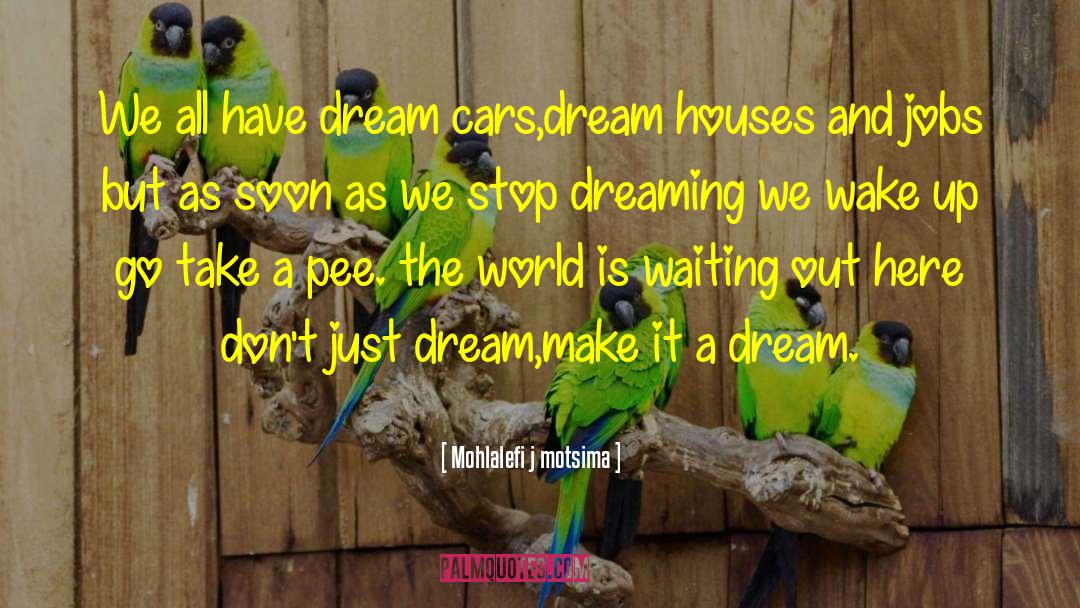 Bussinger Dream quotes by Mohlalefi J Motsima