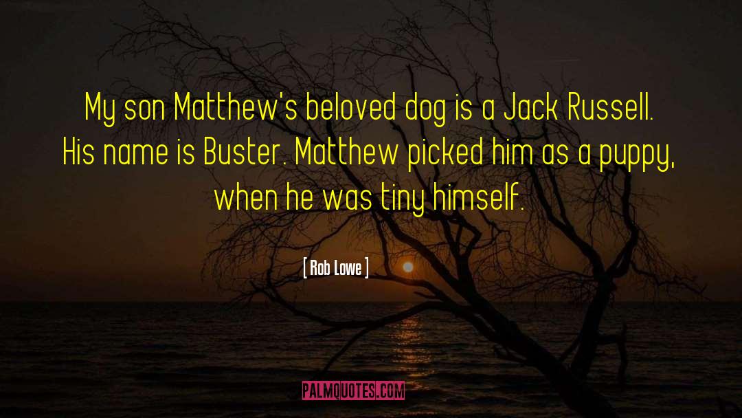 Buster quotes by Rob Lowe