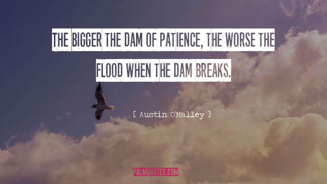 Bustos Dam quotes by Austin O'Malley