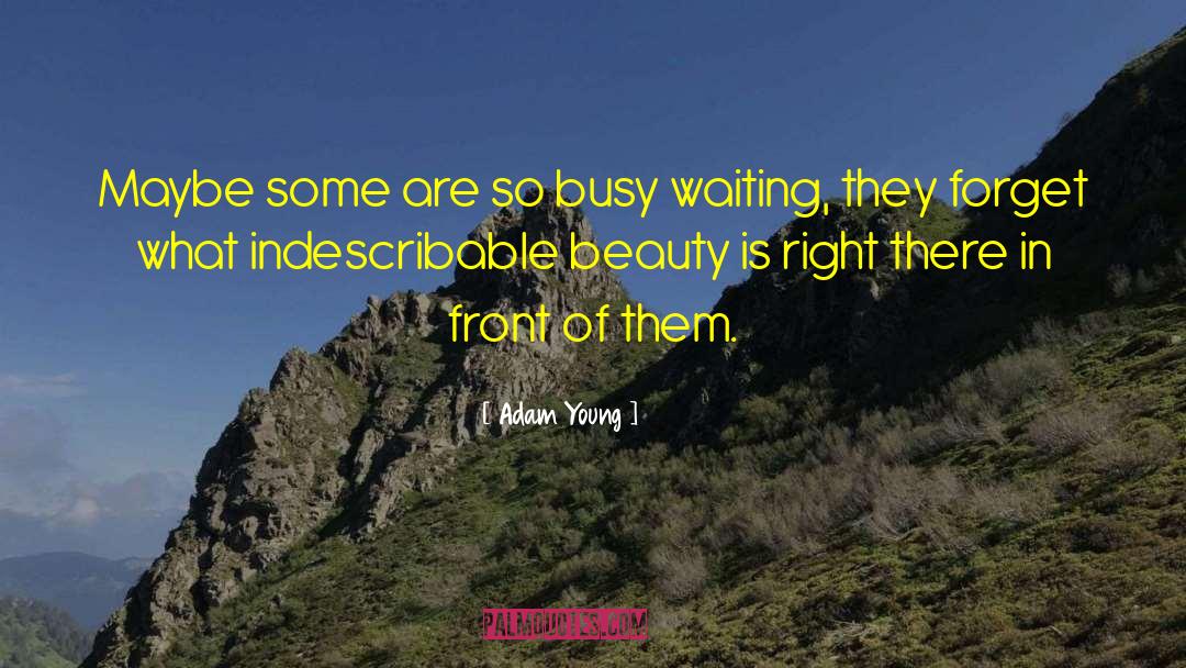 Busy Bee quotes by Adam Young
