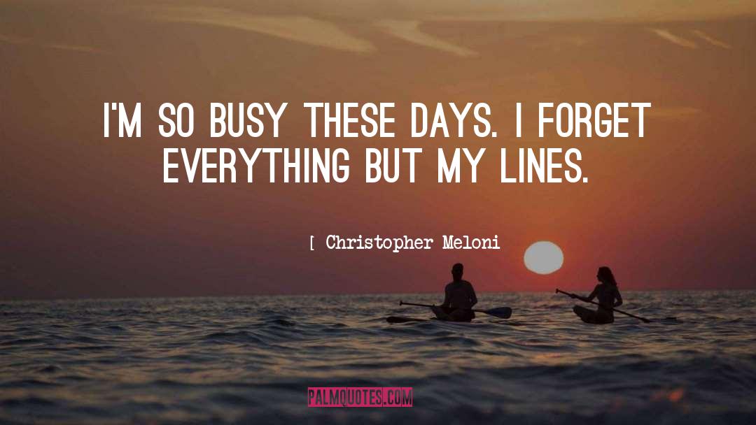Busy Life quotes by Christopher Meloni