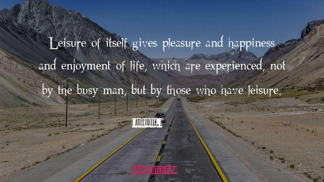 Busy Man quotes by Aristotle.