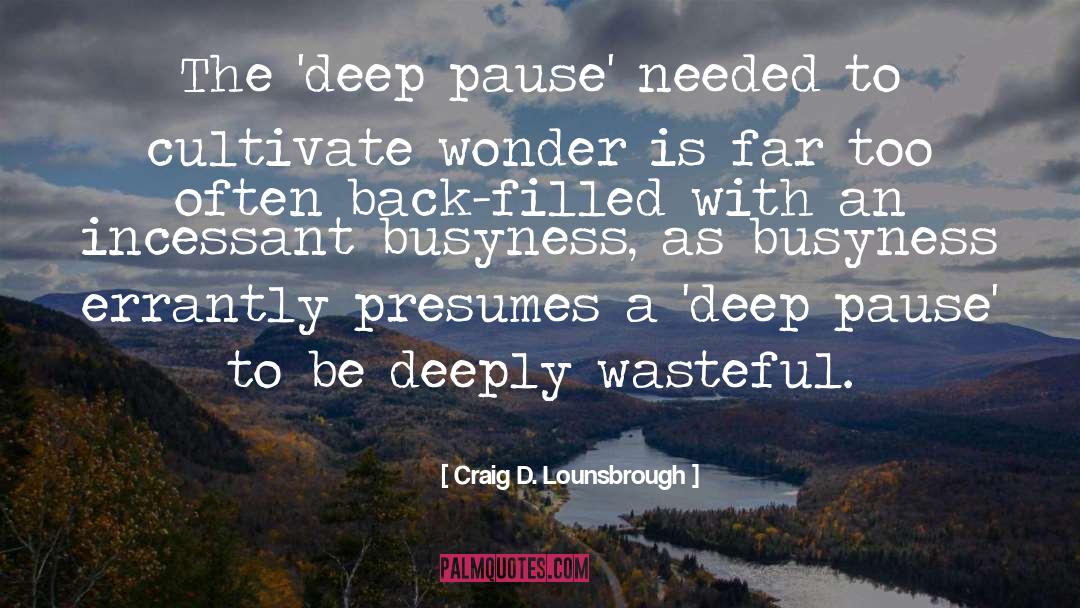 Busyness quotes by Craig D. Lounsbrough
