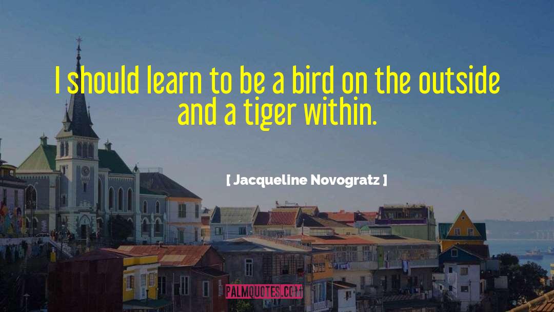 Butcher Bird quotes by Jacqueline Novogratz