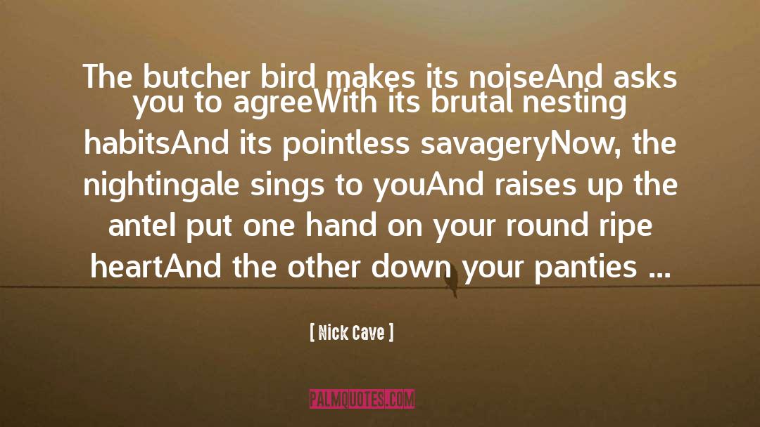 Butcher Bird quotes by Nick Cave