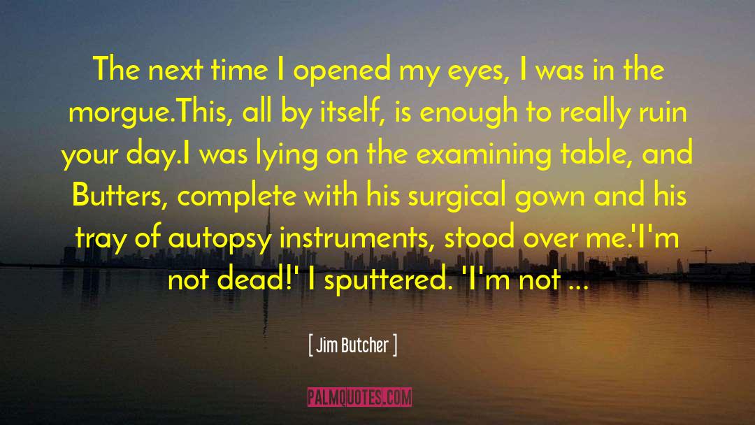 Butchers quotes by Jim Butcher