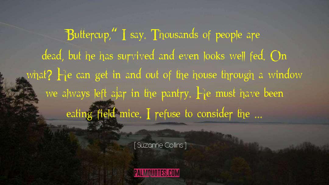 Buttercup quotes by Suzanne Collins