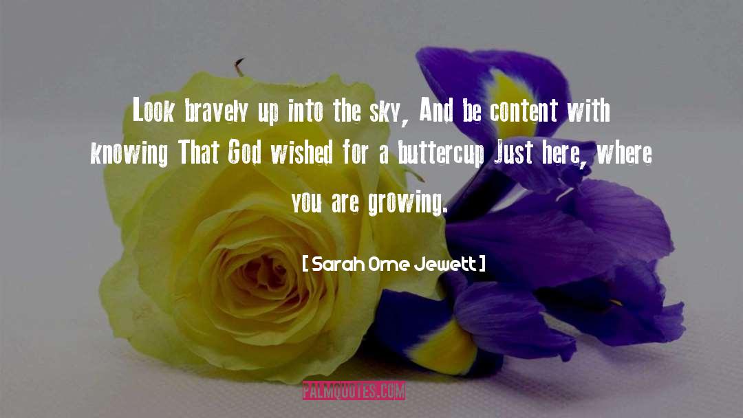 Buttercup quotes by Sarah Orne Jewett