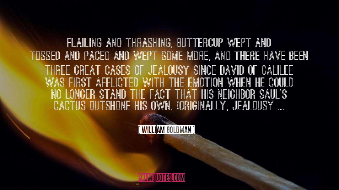 Buttercup quotes by William Goldman