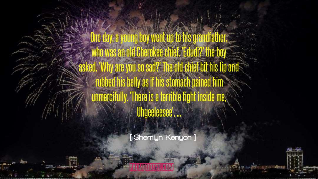 Butterflies In My Stomach quotes by Sherrilyn Kenyon