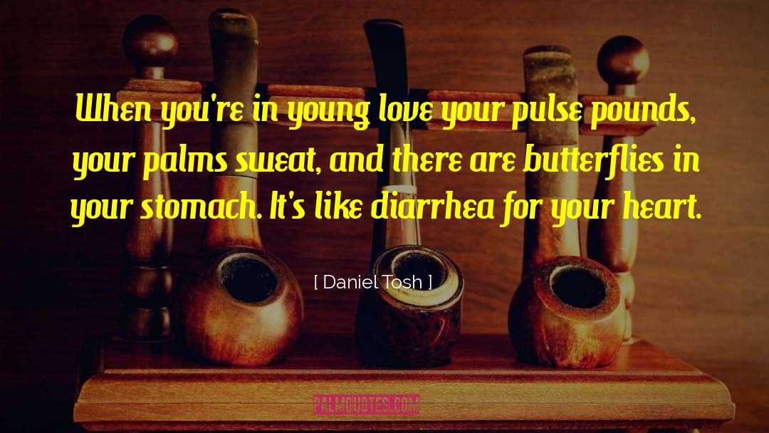 Butterflies In Your Stomach quotes by Daniel Tosh
