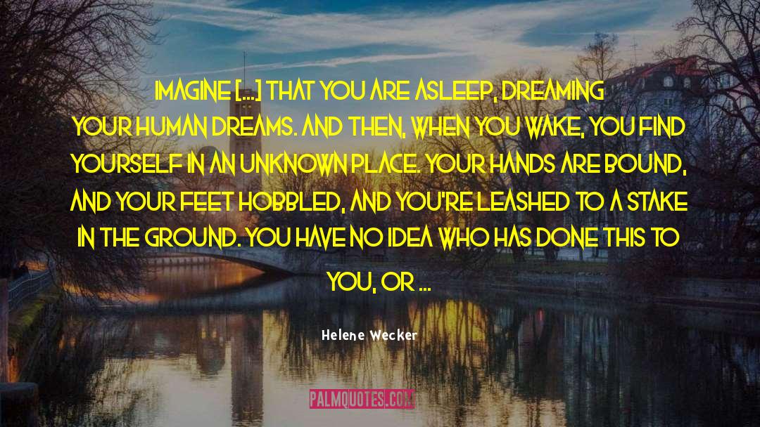 Butterflies Of Your Dreams quotes by Helene Wecker