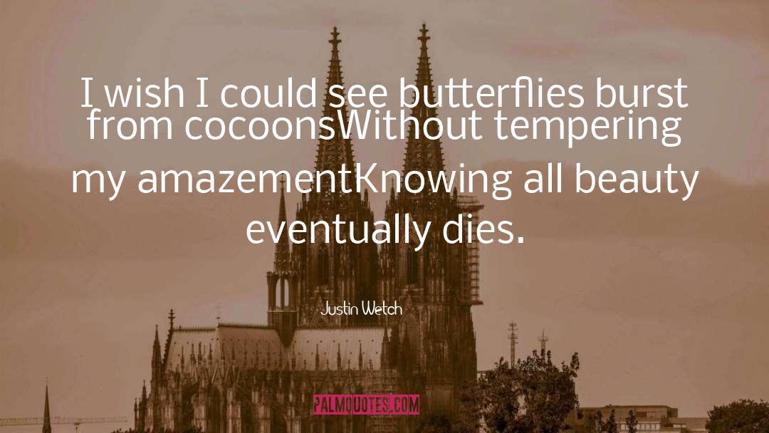 Butterflies quotes by Justin Wetch