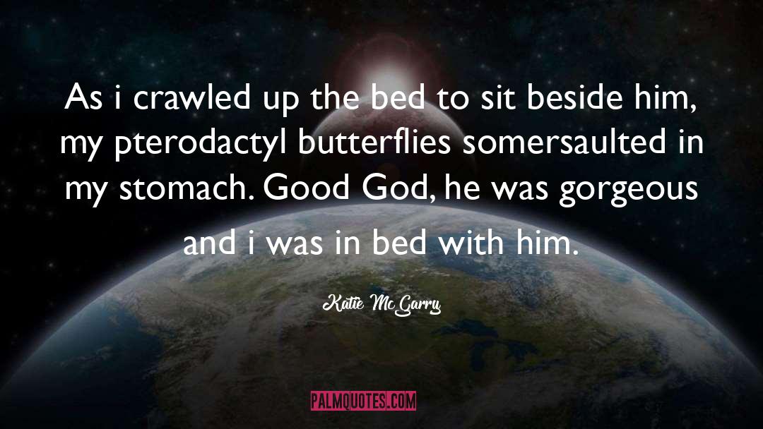 Butterflies quotes by Katie McGarry