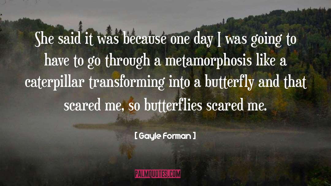 Butterflies quotes by Gayle Forman