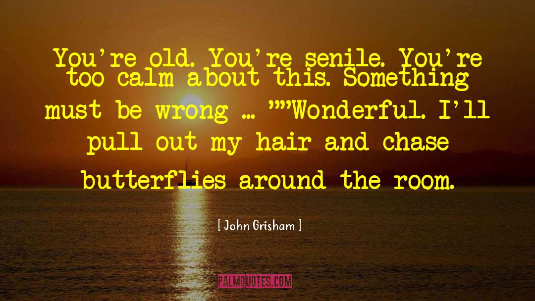 Butterflies quotes by John Grisham