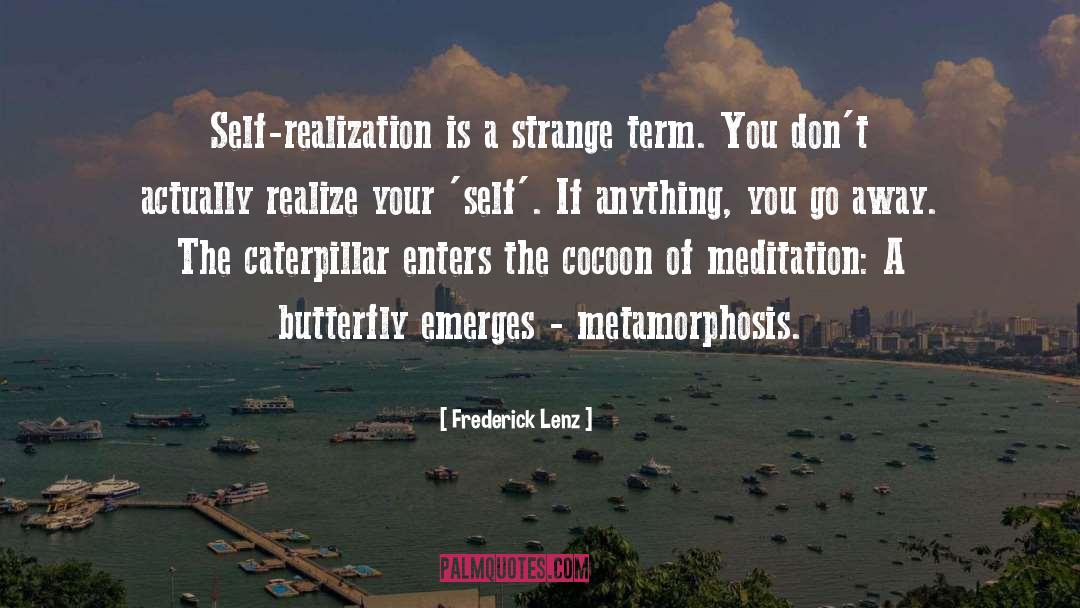 Butterfly quotes by Frederick Lenz