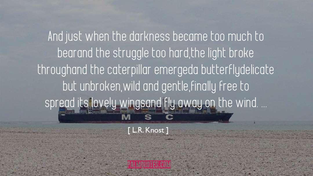 Butterfly quotes by L.R. Knost