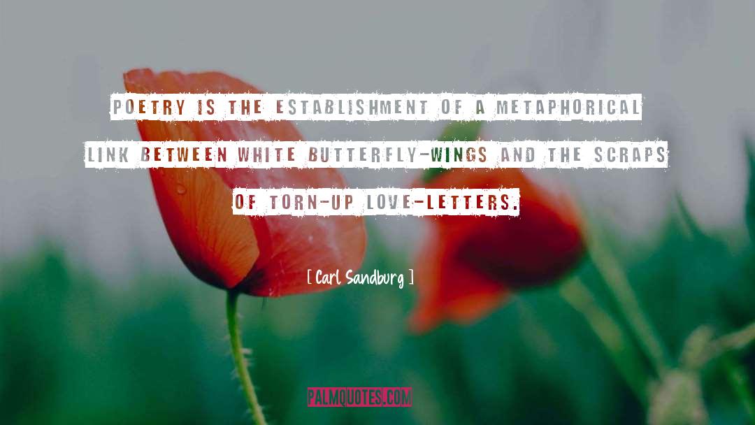 Butterfly quotes by Carl Sandburg