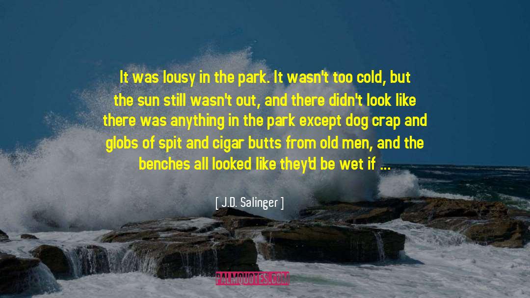 Butts quotes by J.D. Salinger