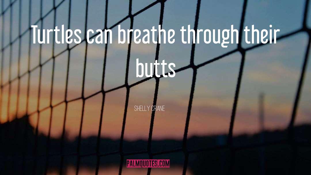 Butts quotes by Shelly Crane