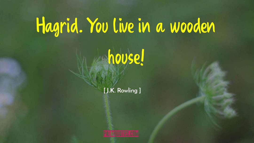 Buying A House quotes by J.K. Rowling