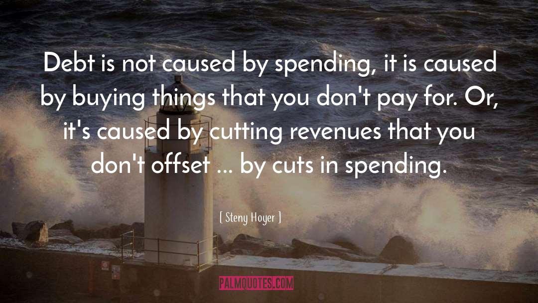 Buying Things quotes by Steny Hoyer