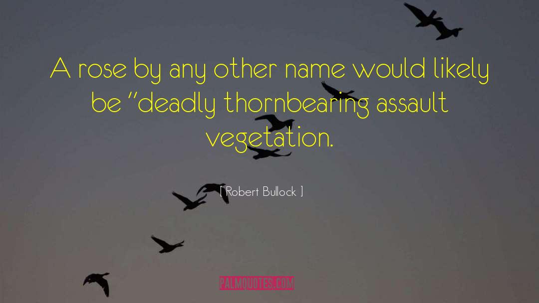 By Any Other Name quotes by Robert Bullock