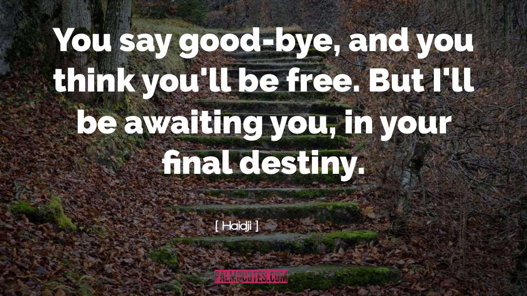 Bye quotes by Haidji