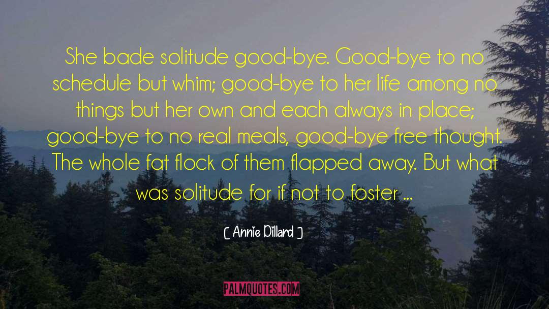 Bye quotes by Annie Dillard