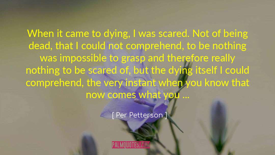 Byock Dying quotes by Per Petterson